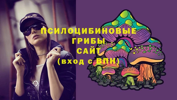 spice Лиски