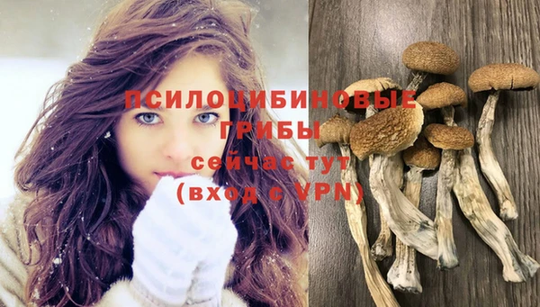 кокс Абаза